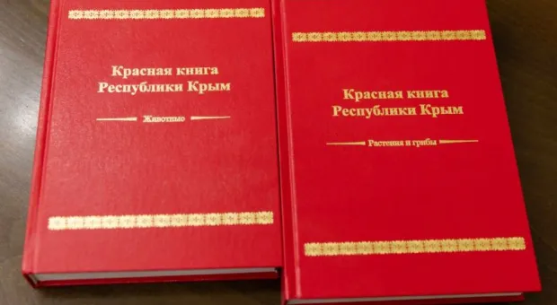 Новости Крыма - 