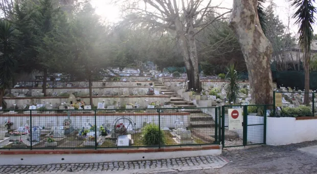 Мировые новости - Севастопольских общественников зовут в Общественную палату