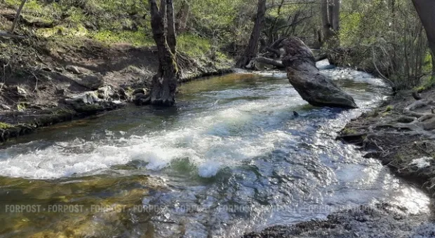 Новости Севастополя - Россияне «опустошили» запасы красной икры в стране — как отреагировали цены?