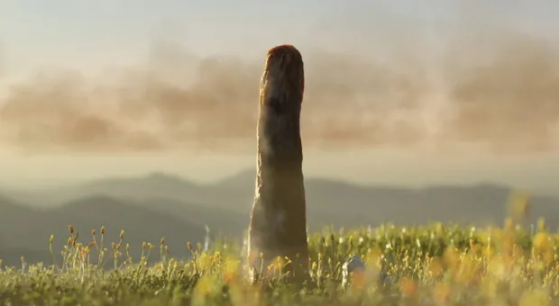 Мировые новости - В Севастополе начнутся работы по укреплению дамб на прудах