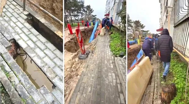 Новости Севастополя - Вступать или нет России в «Совет мира» Трампа — какие выгоды и риски