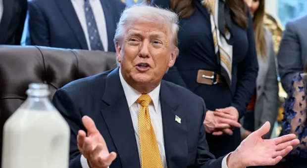 Мировые новости - В судах Севастополя начинаются процессы вокруг заброшенных сельскохозяйственных земель