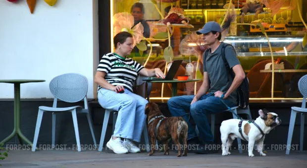 Мировые новости - Дома вне закона: в Севастополе садовые товарищества внезапно попали в санитарную зону