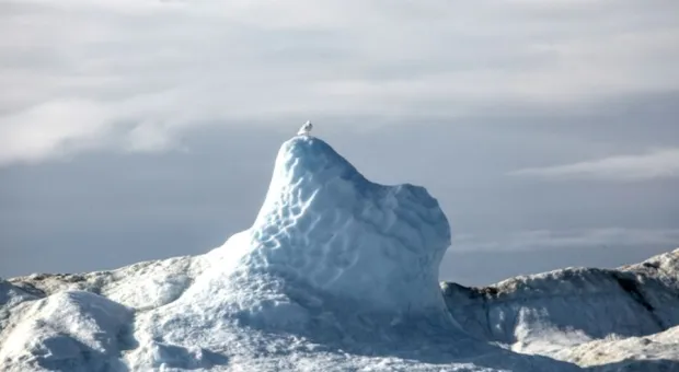 Мировые новости - Люди дела: почему детям нужно готовить, как президенту