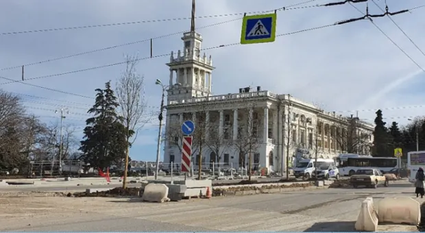 Новости Севастополя - Михаил Развожаев: Деревья на площади Ушакова соответствуют проекту 