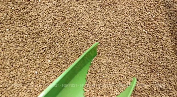 Новости Севастополя - В Севастополе передвинут музей из-за ценной археологической находки