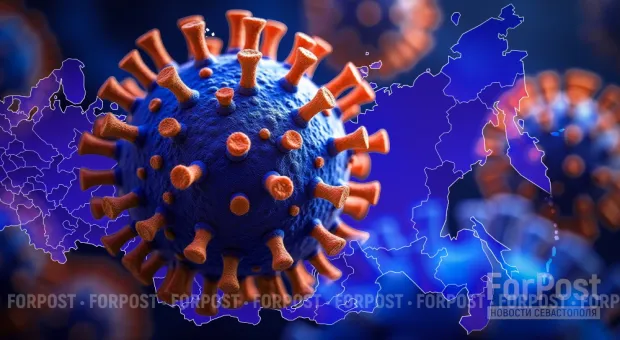 Новости Севастополя - Путин ответил севастопольскому бизнесу