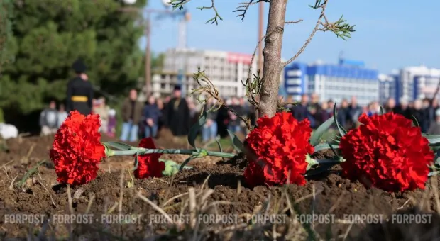 Новости Крыма - 