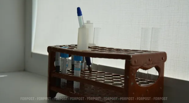 Новости Севастополя - Налоговая прекратила прием граждан в Севастополе