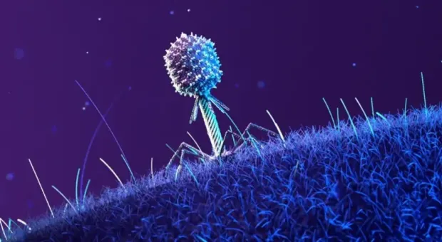 Мировые новости - Севастополь поставил рекорд по электропотреблению