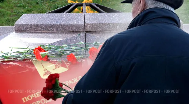 Новости Севастополя - Теперь и Саратову мерещится Сингапур