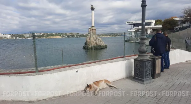 Новости Севастополя - Соратники Ющенко планируют установить в Севастополе часы, отсчитывающие время до вывода ЧФ РФ