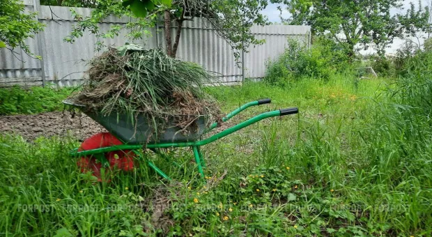 Новости России - 