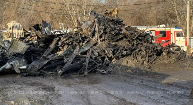 Новости Севастополя - В Севастополе арестовали "маскировавшегося" под фотографа российского наркоторговца