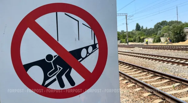 Новости Севастополя - Бывает ли Ольга Ковитиди на работе? Если «да», то по каким дням и как долго?