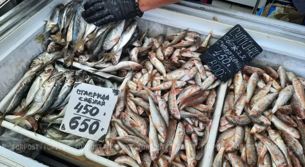 Новости Севастополя - 