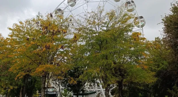 Новости Севастополя - 