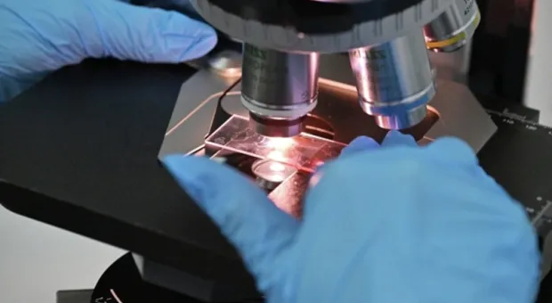 Новости России - Аудиоколонка со взрывчаткой: что известно о предотвращённом теракте в Крыму