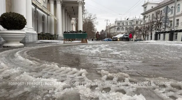 Новости Севастополя - Мата стало больше, но теперь его предлагают не запрещать, а оберегать