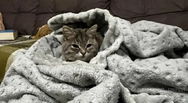 Новости Севастополя - 