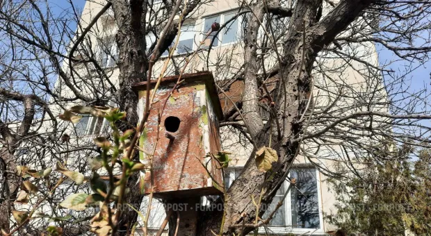 Новости России - 