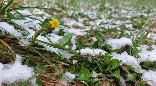 Новости России - Как Крым справляется с последствиями снежного шторма