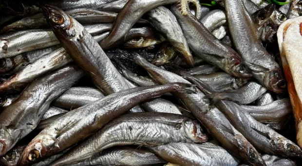 Новости Севастополя - 