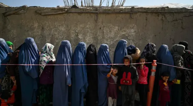 Мировые новости - В Севастополе медленно и мучительно умирают рыбоконсервные заводы 