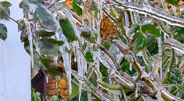 Новости Севастополя - 