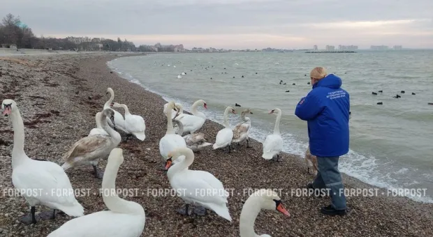 Новости Крыма - 