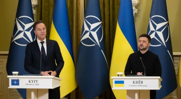 Мировые новости - Реконструкция грозит сносом последним деревьям на спуске Адмирала Октябрьского 