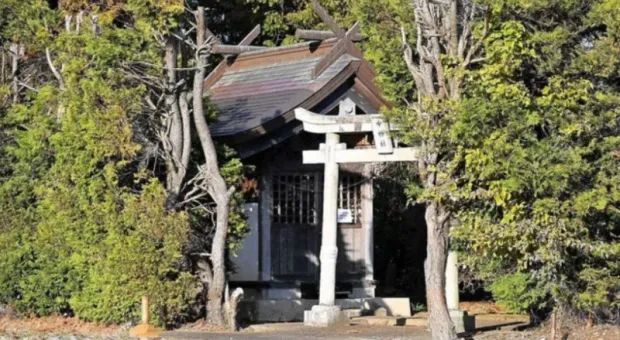 Мировые новости - 