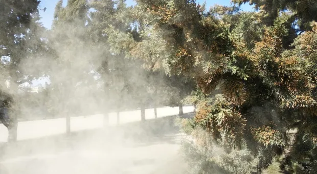 Новости России - 