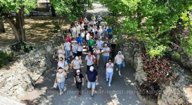 Новости Севастополя - В каком состоянии деревья на Приморском бульваре? Мнение дендролога