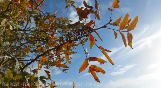 Новости Севастополя - Генплан Севастополя консервируют в суде