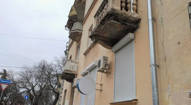 Новости Севастополя - Севсети #833: Осенние радости, спасённый кот и чужая свадьба