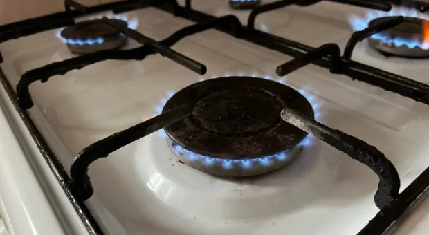 Новости Севастополя - Сельское хозяйство должно приносить доход Севастополю, — Мария Литовко