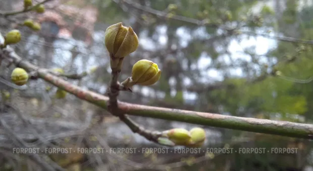 Новости Севастополя - В Киеве создано севастопольское землячество