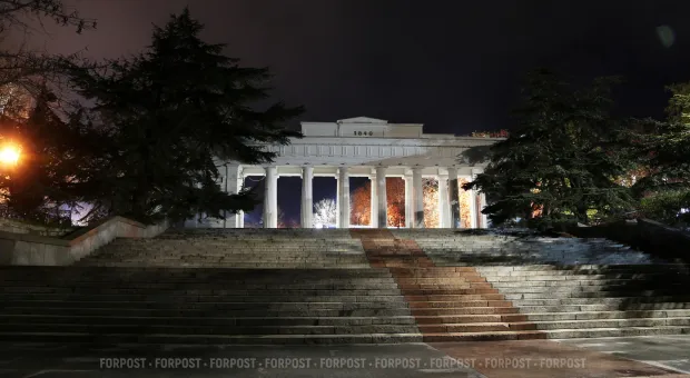 Новости Севастополя - В каком состоянии деревья на Приморском бульваре? Мнение дендролога