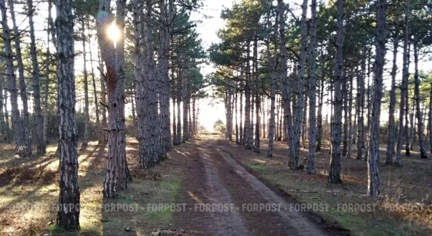 Новости Севастополя - На Черноморском флоте отметили 30-летие со дня подъёма Военно-морского флага на гвардейском ракетном крейсере «Москва»
