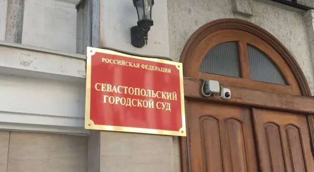 Новости Севастополя - В Севастополе лошадь ударила девочку по лицу