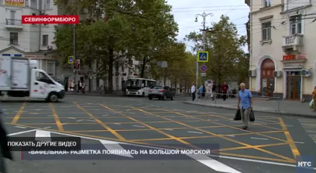 Новости Севастополя - В Севастопольском транспорте станет больше ЕГКСников