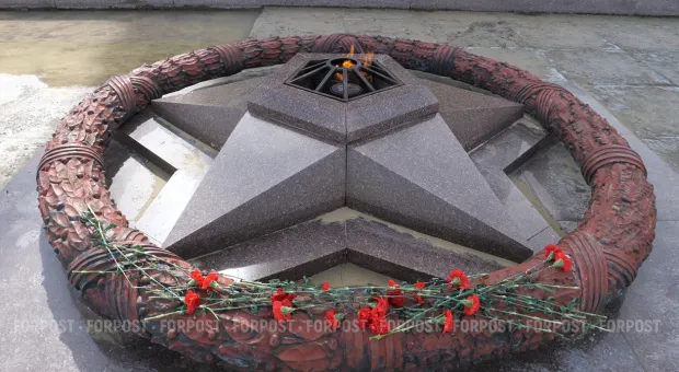 Новости Севастополя - В Феодосии группа местных додумалась жарить каштаны на Вечном огне