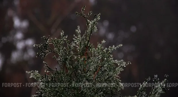 Новости Крыма - 