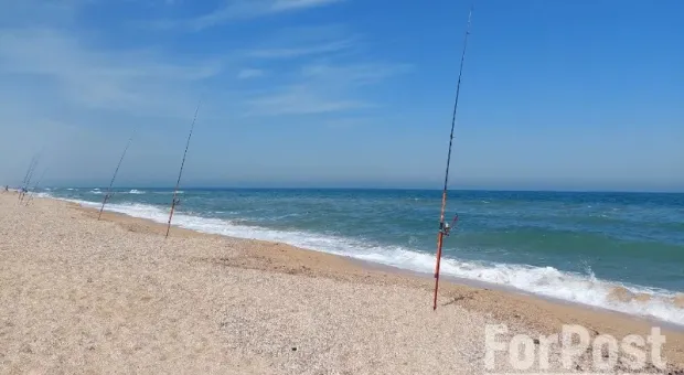 Крым и Херсонскую область предложили соединить ещё одной дорогой