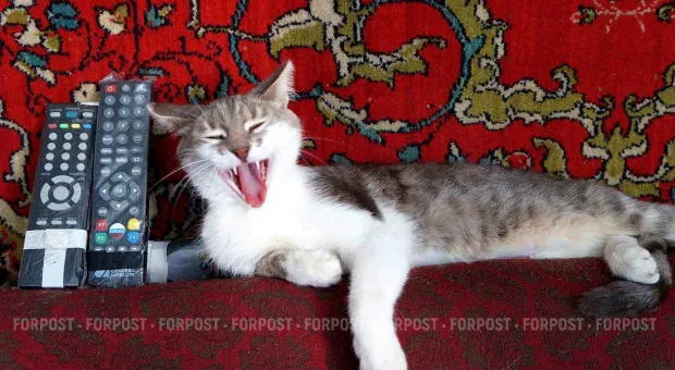 Новости Севастополя - «Упёрлись рогом»: выплата советских вкладов для севастопольцев не предусмотрена 