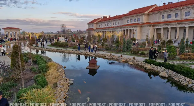 Новости Севастополя - Почему треть российского бизнеса оказалась в минусе и что ему поможет