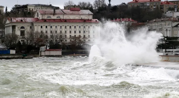 Новости Севастополя - 
