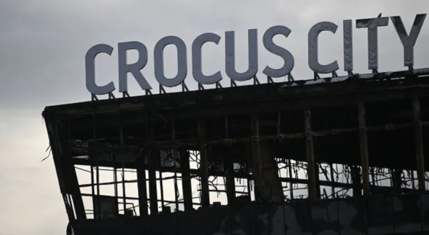 Новости России - В Японии направили роботов на борьбу с нашествием медведей