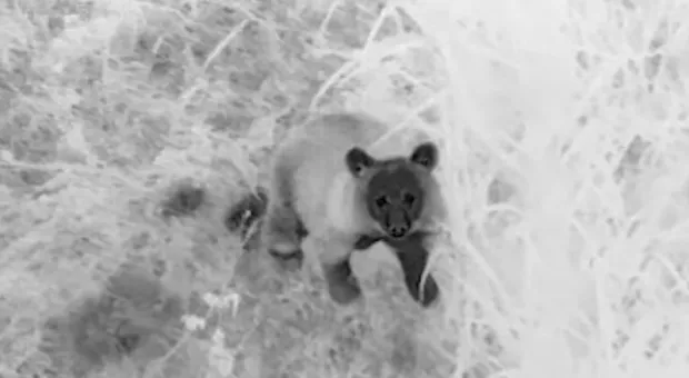 Мировые новости - 